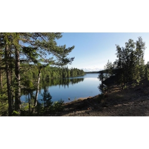 /Gallery/2022/08/gussjon10-300x300.jpg